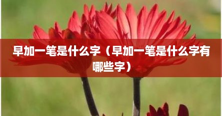 早加一笔是什么字（早加一笔是什么字有哪些字）