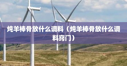 炖羊棒骨放什么调料（炖羊棒骨放什么调料窍门）