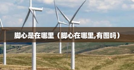 脚心是在哪里（脚心在哪里,有图吗）