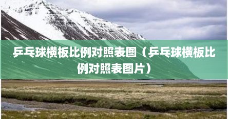 乒乓球横板比例对照表图（乒乓球横板比例对照表图片）