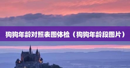 狗狗年龄对照表图体检（狗狗年龄段图片）