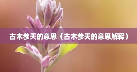 古木参天的意思（古木参天的意思解释）