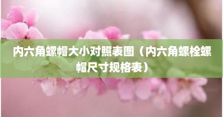 内六角螺帽大小对照表图（内六角螺栓螺帽尺寸规格表）