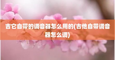吉它自带的调音器怎么用的(吉他自带调音器怎么调)
