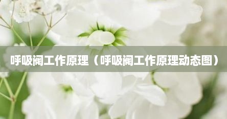 呼吸阀工作原理（呼吸阀工作原理动态图）