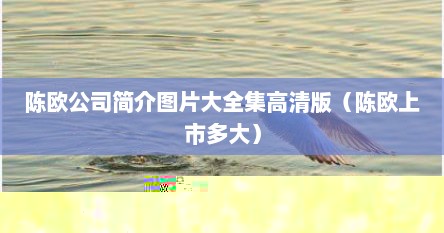 陈欧公司简介图片大全集高清版（陈欧上市多大）