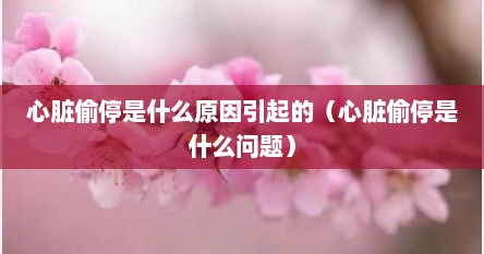 心脏偷停是什么原因引起的（心脏偷停是什么问题）
