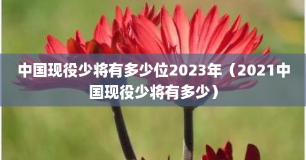 中国现役少将有多少位2023年（2021中国现役少将有多少）