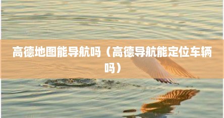 高德地图能导航吗（高德导航能定位车辆吗）