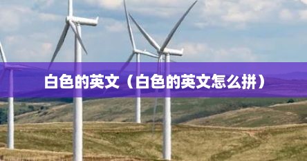 白色的英文（白色的英文怎么拼）