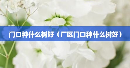 门口种什么树好（厂区门口种什么树好）