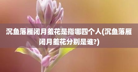 沉鱼落雁闭月羞花是指哪四个人(沉鱼落雁闭月羞花分别是谁?)