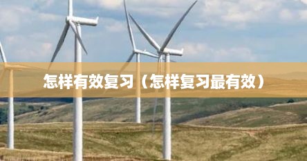 怎样有效复习（怎样复习最有效）