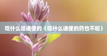 吃什么是通便的（吃什么通便的药也不啦）