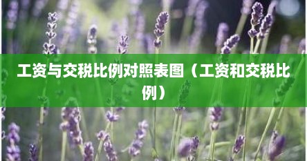 工资与交税比例对照表图（工资和交税比例）