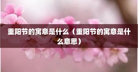重阳节的寓意是什么（重阳节的寓意是什么意思）