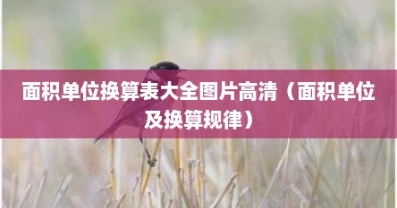 面积单位换算表大全图片高清（面积单位及换算规律）