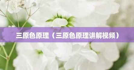 三原色原理（三原色原理讲解视频）