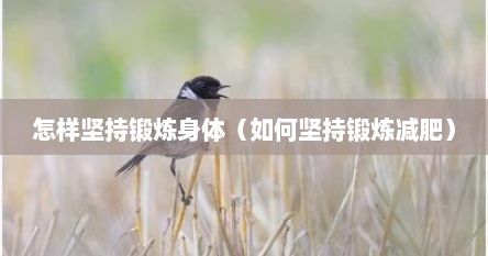 怎样坚持锻炼身体（如何坚持锻炼减肥）