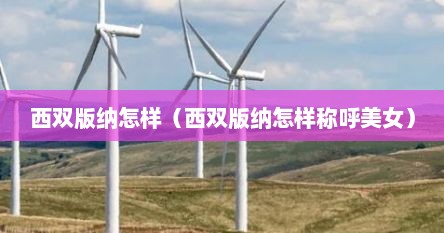 西双版纳怎样（西双版纳怎样称呼美女）