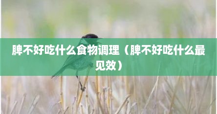 脾不好吃什么食物调理（脾不好吃什么最见效）