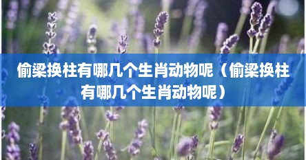 偷梁换柱有哪几个生肖动物呢（偷梁换柱有哪几个生肖动物呢）