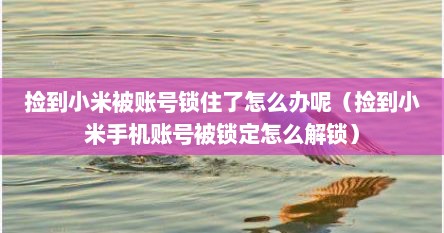 捡到小米被账号锁住了怎么办呢（捡到小米手机账号被锁定怎么解锁）