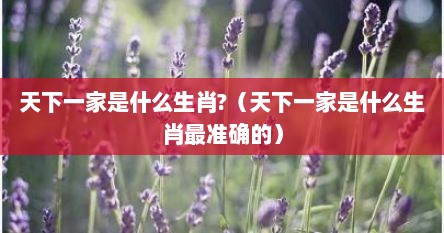 天下一家是什么生肖?（天下一家是什么生肖最准确的）