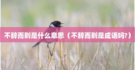 不辞而别怎么解释（不辞而别的含义）