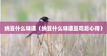 纳豆什么味道（纳豆什么味道豆吃后心得）