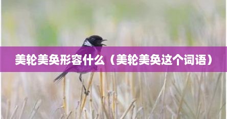 美轮美奂形容什么（美轮美奂这个词语）