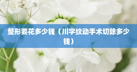 整形要花多少钱（川字纹动手术切除多少钱）