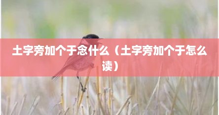土字旁加个于念什么（土字旁加个于怎么读）