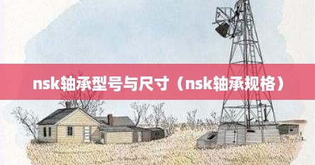 nsk轴承型号与尺寸（nsk轴承规格）