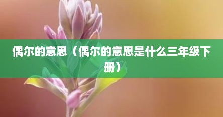 偶尔的意思（偶尔的意思是什么三年级下册）