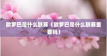 欧罗巴是什么联赛（欧罗巴是什么联赛重要吗）
