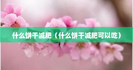 什么饼干减肥（什么饼干减肥可以吃）