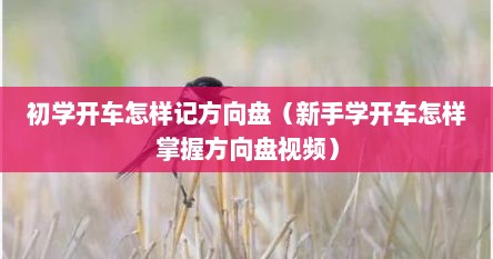 初学开车怎样记方向盘（新手学开车怎样掌握方向盘视频）
