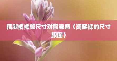 阔腿裤裤管尺寸对照表图（阔腿裤的尺寸跟图）