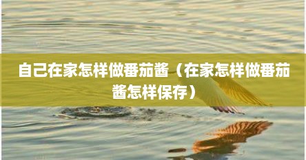 自己在家怎样做番茄酱（在家怎样做番茄酱怎样保存）
