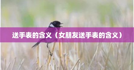 送手表的含义（女朋友送手表的含义）