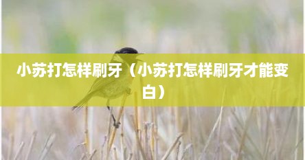 小苏打怎样刷牙（小苏打怎样刷牙才能变白）