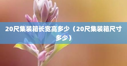 20尺集装箱长宽高多少（20尺集装箱尺寸多少）