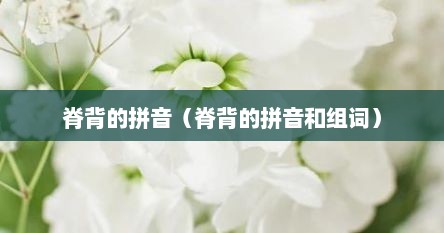 脊背的拼音（脊背的拼音和组词）