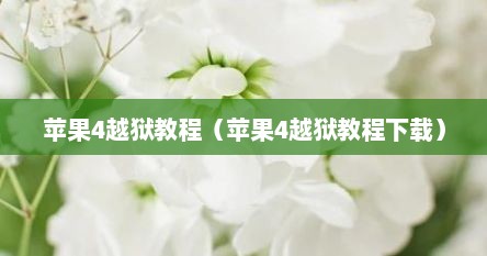 苹果4越狱教程（苹果4越狱教程下载）