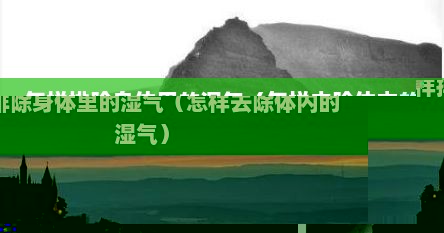 怎样排除身体里的湿气（怎样去除体内的湿气）