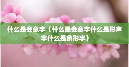 什么是会意字（什么是会意字什么是形声字什么是象形字）