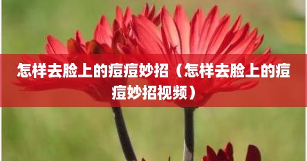 怎样去脸上的痘痘妙招（怎样去脸上的痘痘妙招视频）