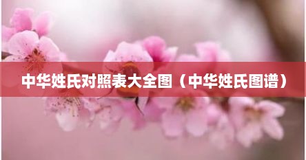 中华姓氏对照表大全图（中华姓氏图谱）