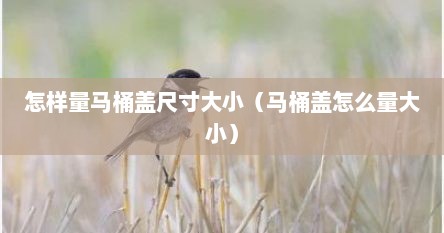 怎样量马桶盖尺寸大小（马桶盖怎么量大小）